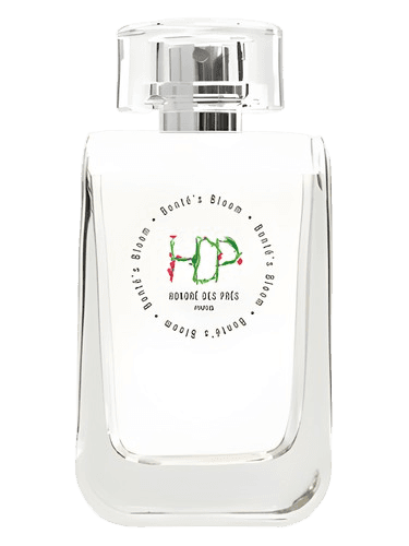 Honore des Pres Bonte's Bloom