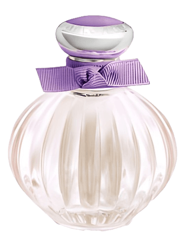 American Beauty Beloved Purple Blossom