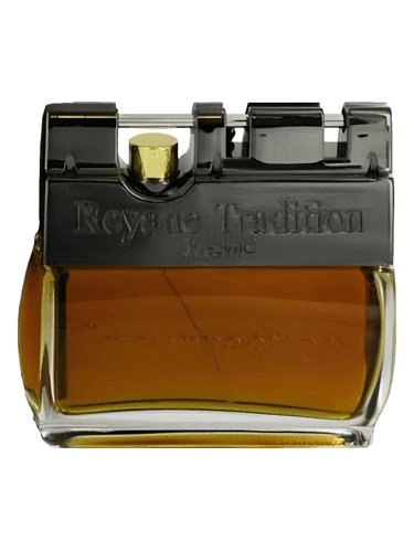 Reyane Tradition Insurrection Iron Man