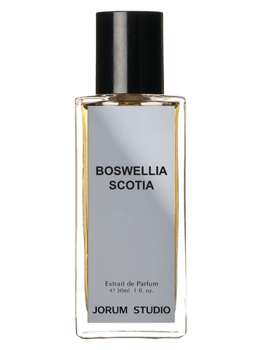 Jorum Studio Boswellia Scotia