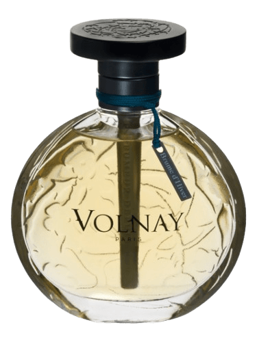 Volnay Brume d'Hiver