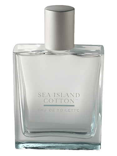 Bath & Body Works Sea Island Cotton
