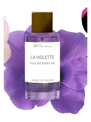 Au Pays de la Fleur d’Oranger La Violette