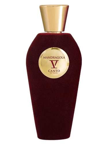V Canto Mandragola