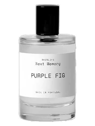 Next Memory Purple Fig