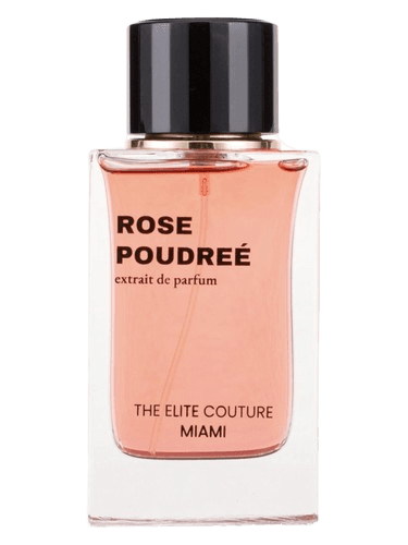 The Elite Couture Miami Rose Poudrée