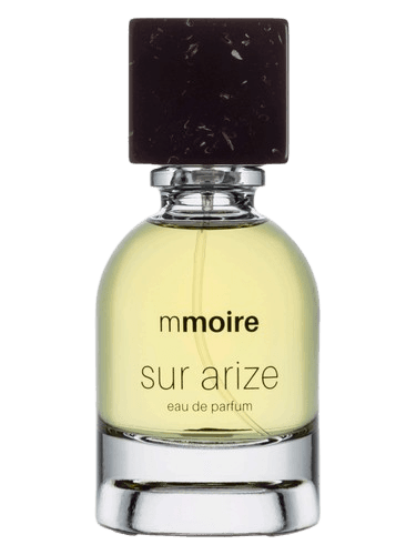Mmoire Sur Arize