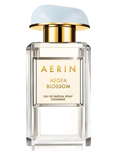 Aerin Aegea Blossom