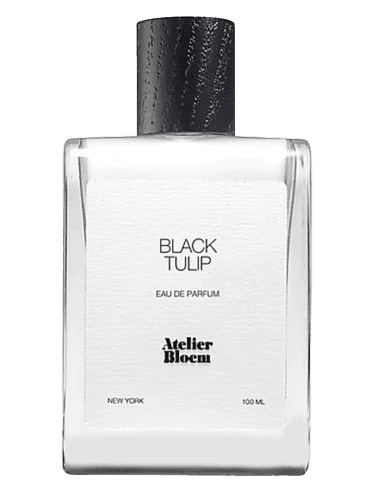 Atelier Bloem Black Tulip