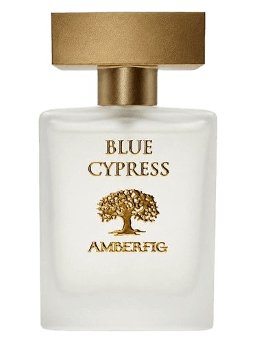 Amberfig Blue Cypress