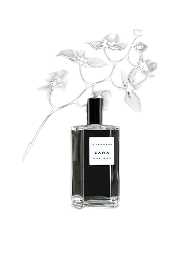 Zara Flor de Azahar