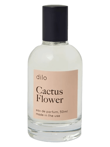 Dilo Cactus Flower