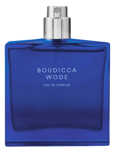 The Beautiful Mind Series Boudicca Wode