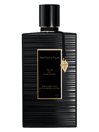 Van Cleef & Arpels Rêve de Cashmere