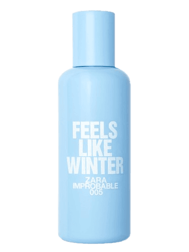 Zara 005 Feels Like Winter