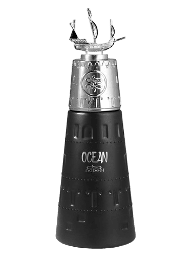 Nabeel Ocean