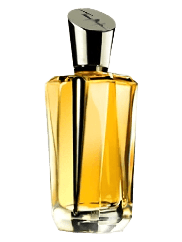 Mugler Mirror Mirror Collection - A Travers Le Miroir