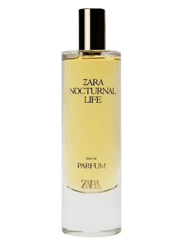 Zara Nocturnal Life