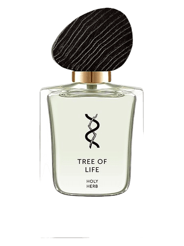 Tree Of Life Holy Herb