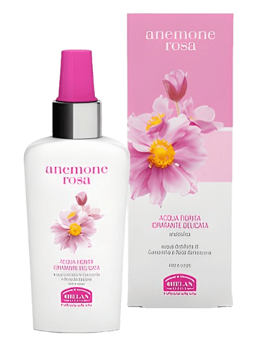 Helan Anemone Rosa