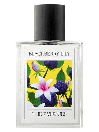 The 7 Virtues Blackberry Lily