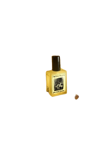 Solstice Scents Dark Ginger Spicecake