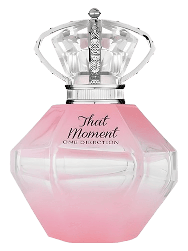 One Direction That Moment