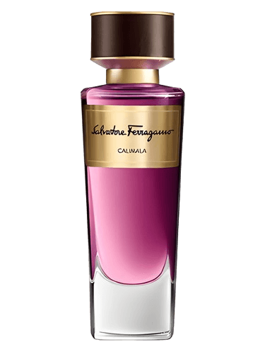 Salvatore Ferragamo Calimala