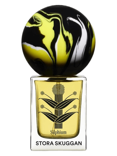 Stora Skuggan Silphium