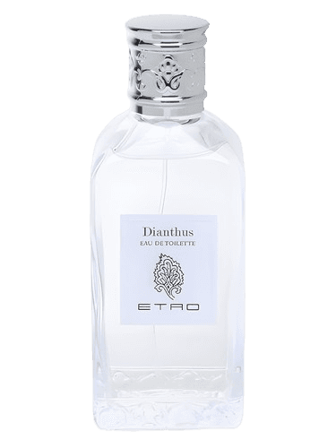 Etro Dianthus