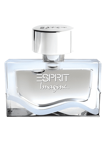 Esprit Imagine for Him