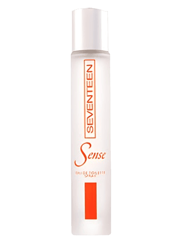 Seventeen Sense