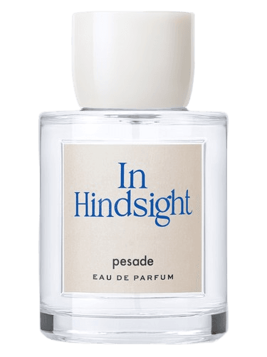 Pesade In Hindsight