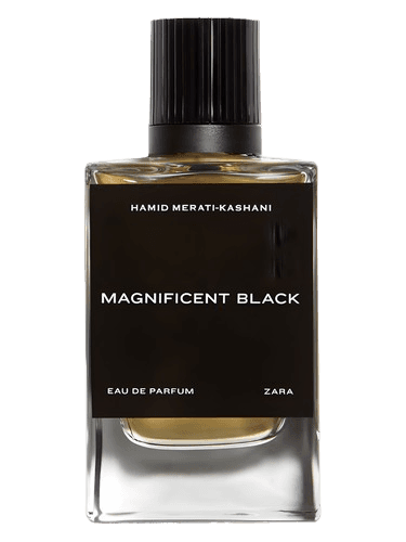 Zara Magnificent Black