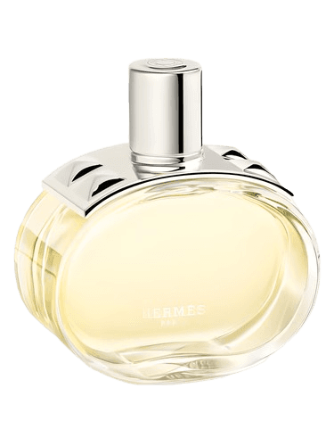 Hermès Barénia