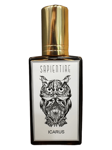 Sapientiae Niche Ícarus