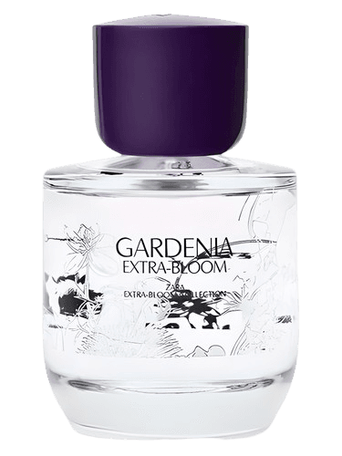 Zara Gardenia Extra-Bloom