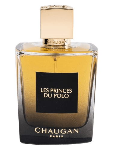 Chaugan Les Princes Du Polo