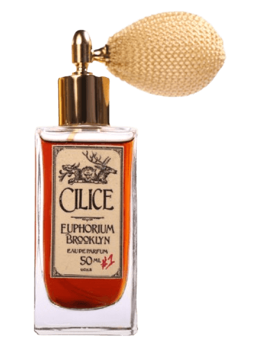 Euphorium Brooklyn Cilice