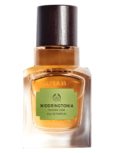 The Body Shop Widdringtonia