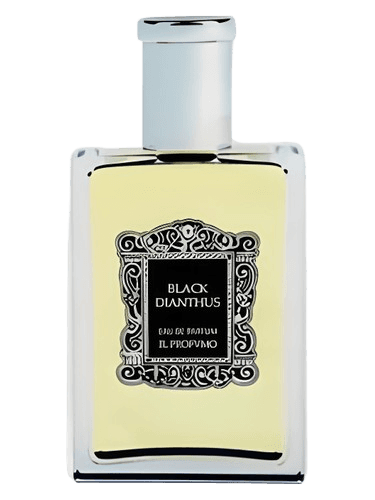 Il Profvmo Black Dianthus