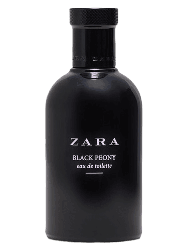 Zara Zara Black Peony