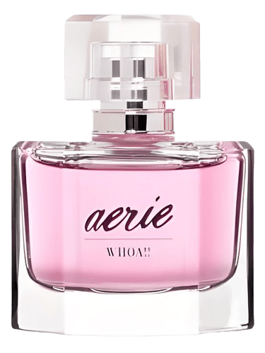 American Eagle Aerie WHOA!!