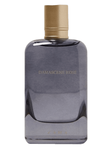 Zara Damascene Rose