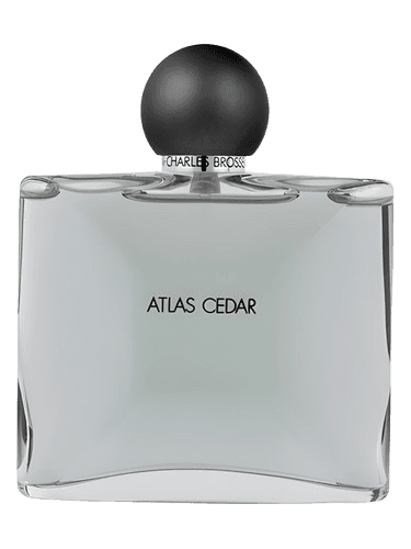 Jean Charles Brosseau Collection Homme/Atlas Cedar