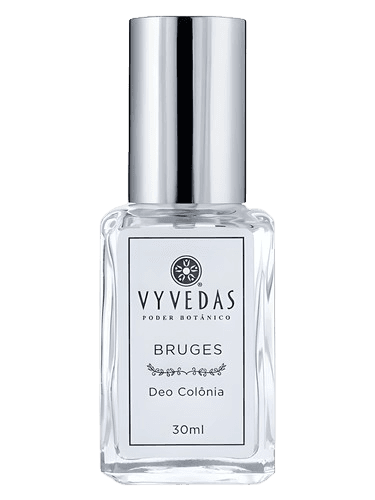 Vyvedas Bruges