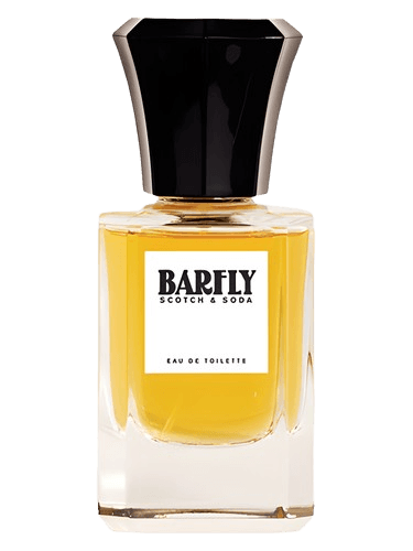 Scotch & Soda Barfly