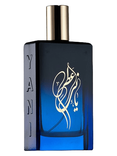 YANI Kashan