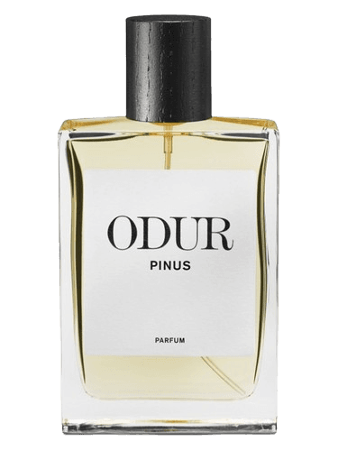 ODUR Pinus
