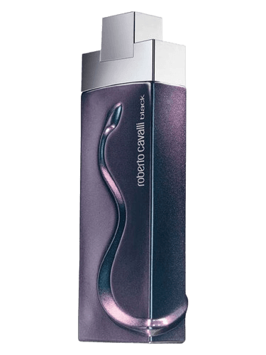 Roberto Cavalli Roberto Cavalli Black